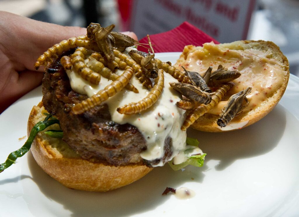 Un hamburger di cavallette servito all’Occidental Restaurant di Washington DC, Stati Uniti.