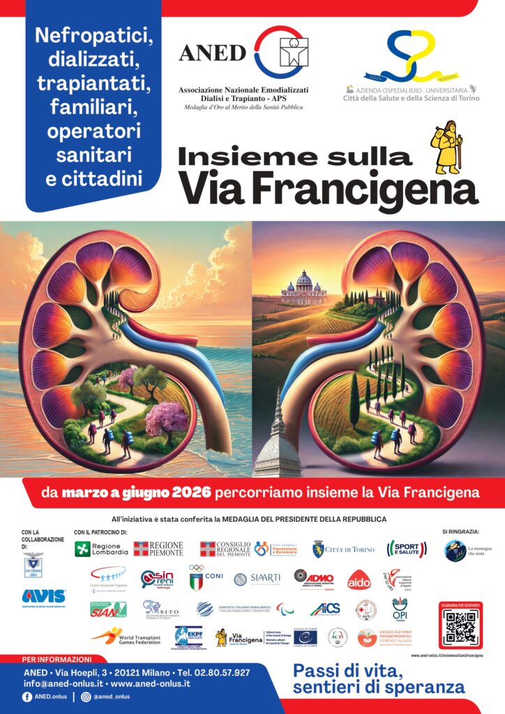 Locandina Insieme sulla via Francigena