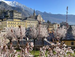 Châtillon avvia la procedura per la nomina dei referenti di territorio