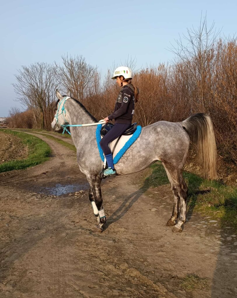 Gaia Commod equitazione