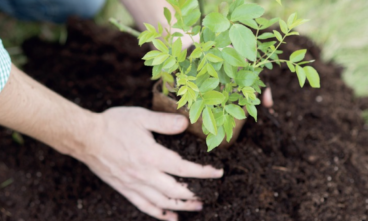Corso gratuito di compostaggio domestico a Saint-Vincent e Verrès