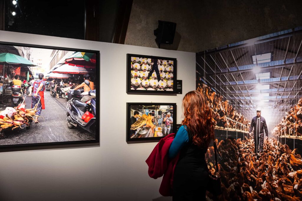 Nutrire Il Mondo Afp Forte Di Bard Ph Roberto Roux 126