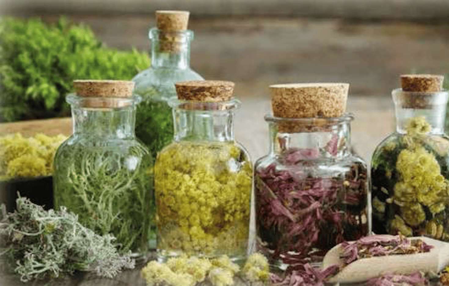 A Quart un incontro dedicato ai decotti e agli infusi alpini