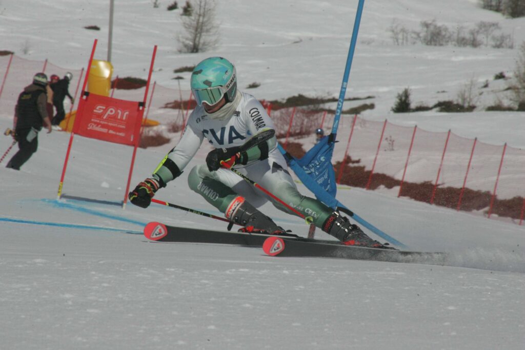 Andrea Piccone 2835