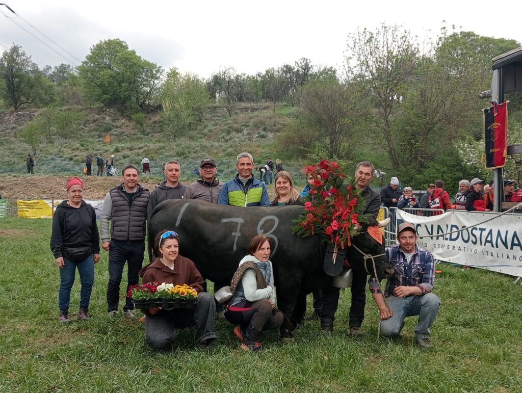 1° Di 1° Cat. Pazzeska regina di prima categoria all'eliminatoria diJovençan 12 aprile 2026 del Concours régional Batailles de reines