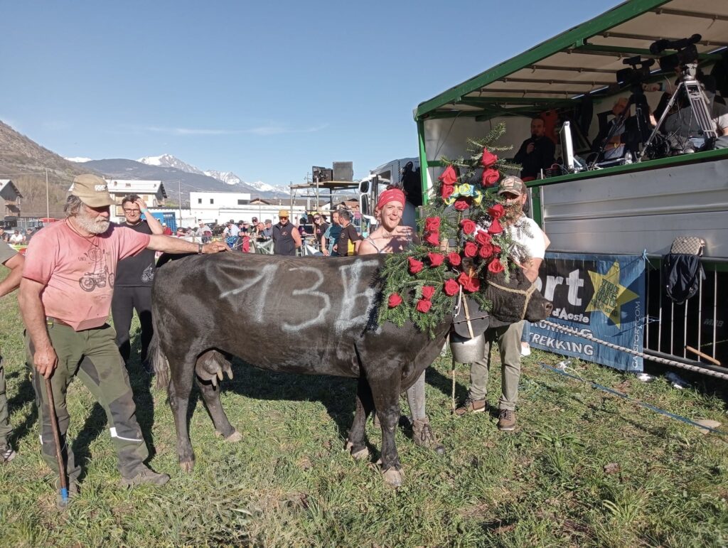 1° Di 2° Cat Volga.