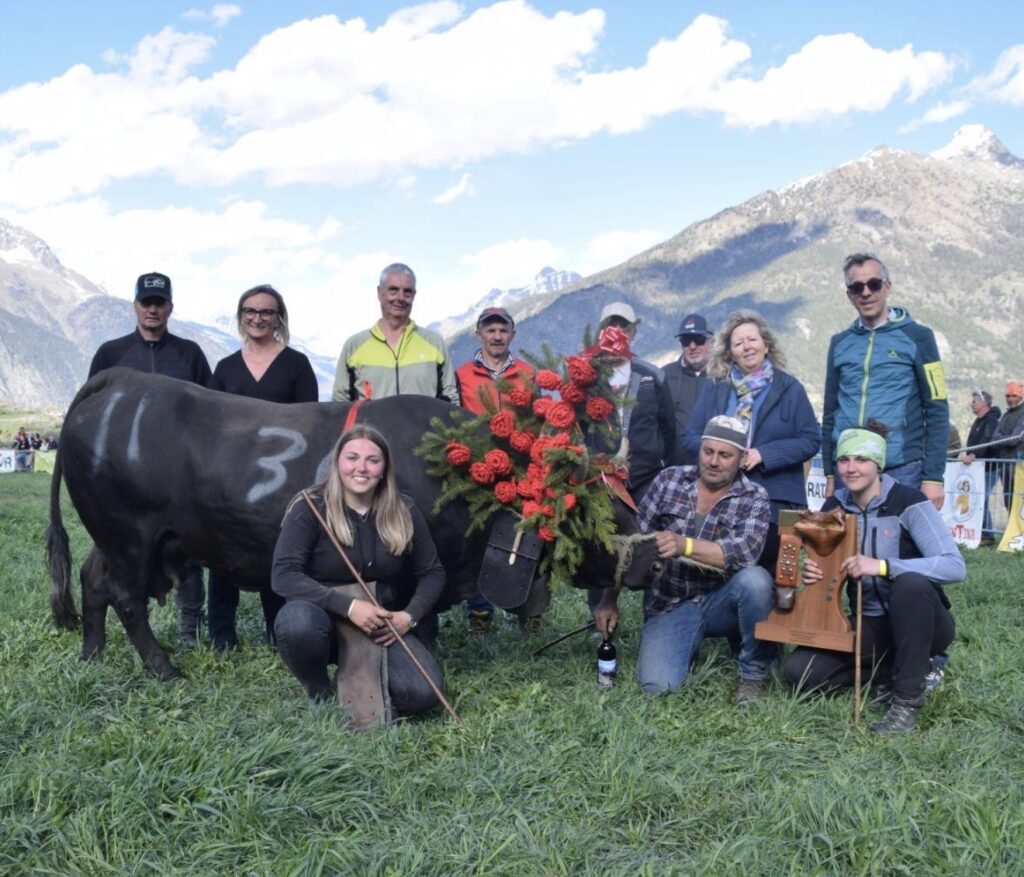 Malizia regina di seconda categoria all'eliminatoria di Gignod il 19 aprile 2026 del Concours régional Batailles de reines