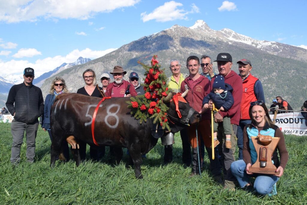1° Di 3° Cat. Bambino' Bambino' regina di terza categoria all'eliminatoria di Gignod il 19 aprile 2026 del Concours régional Batailles de reines