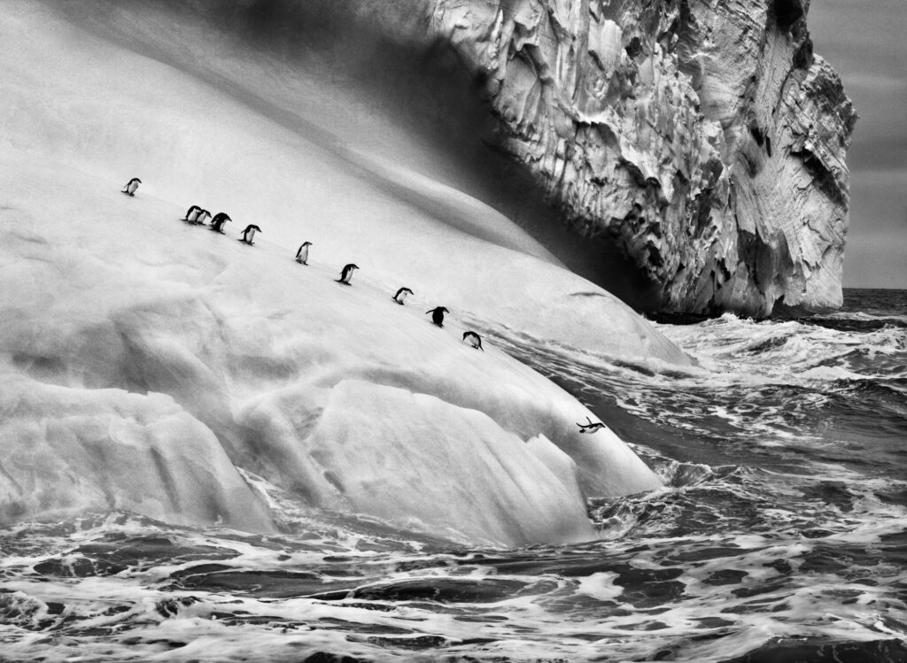 Gli iceberg sono pezzi di ghiacciaio che si staccano e vanno alla deriva nel mare. Isole Sandwich Australi, 2009