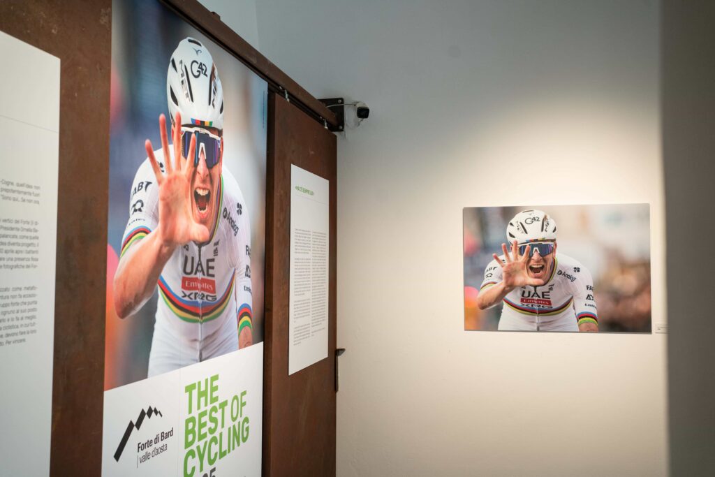 The Best of cycling 2025