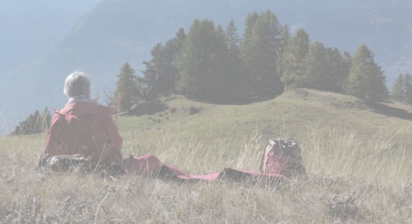 Felici i Felici 2026 a Vetan