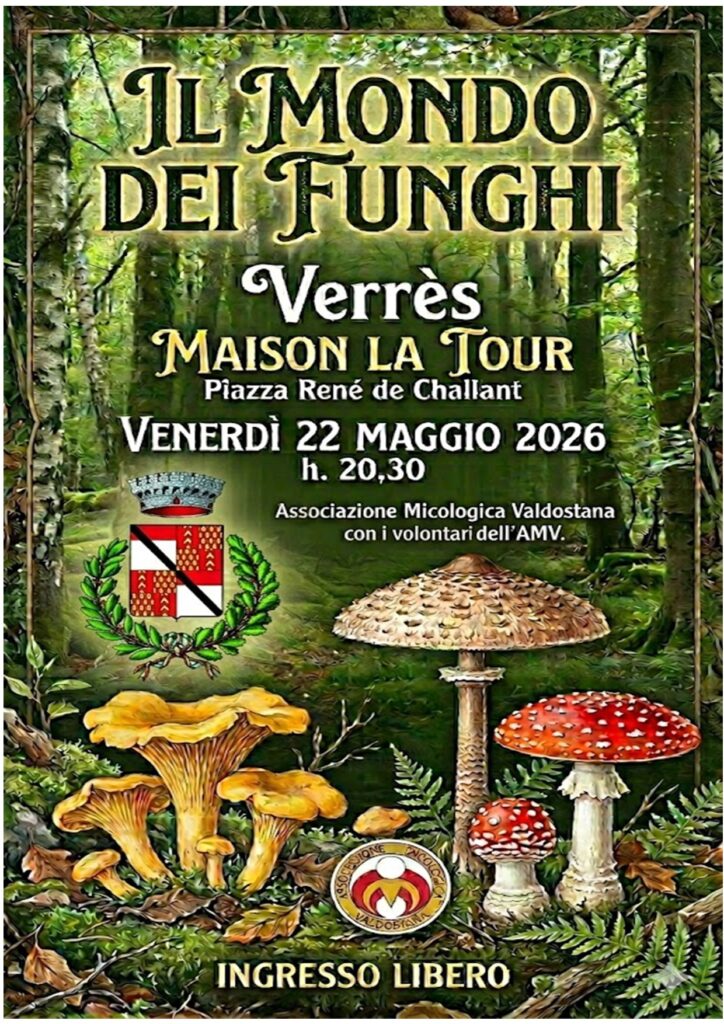 Locandina Il mondo dei funghi