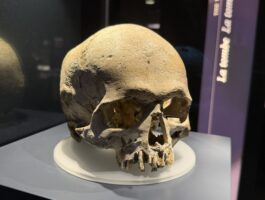 Il volto di un uomo dell\'età del rame