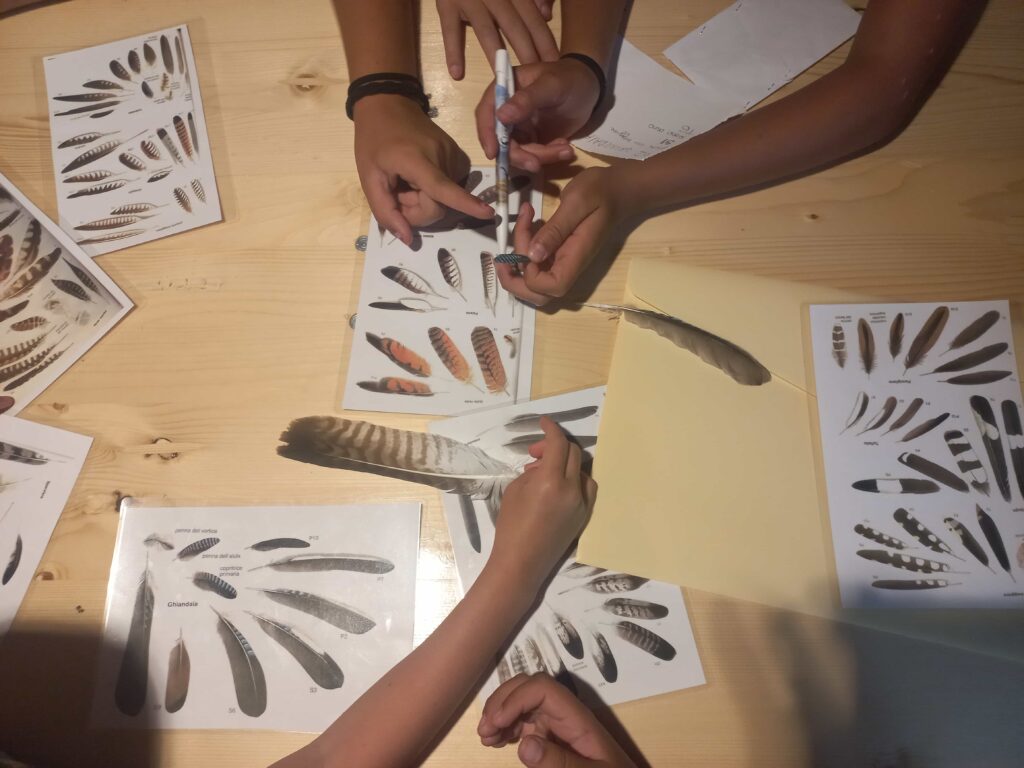 Natura In Evoluzione Laboratori