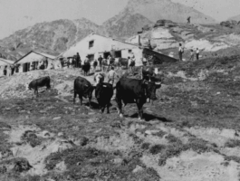 La Consorterie de l\'Alpe Grauson in mostra