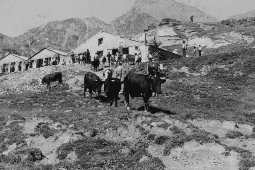 La Consorterie de l\'Alpe Grauson in mostra