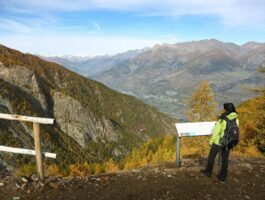 Eventi estivi 2026 nell’ambito del progetto Maia, meraviglie archeologiche invisibili delle Alpi