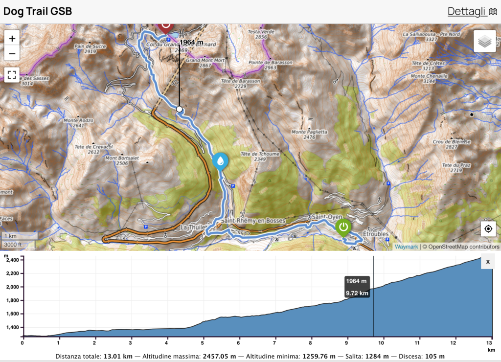Il tracciato del Dog Trail Grand San Bernardo