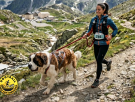 Dog Trail Gran San Bernardo