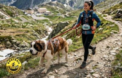 Dog Trail Grand San Bernardo