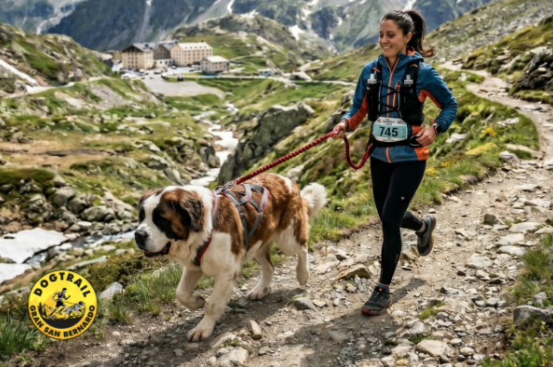 Dog Trail Gran San Bernardo