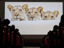Gran Paradiso Film Festival 2026
