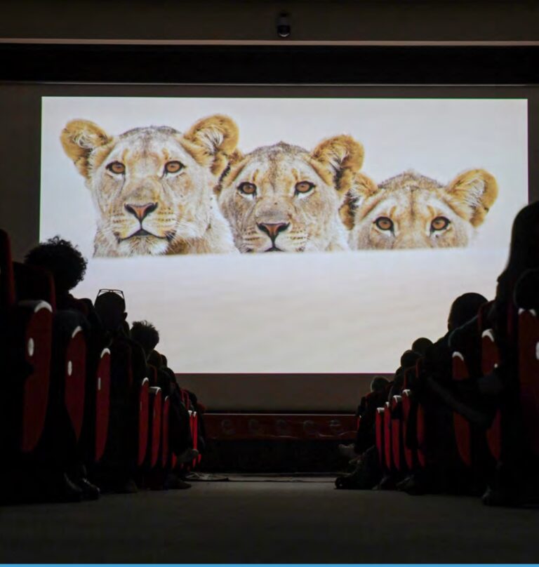 Gran Paradiso Film Festival 2026