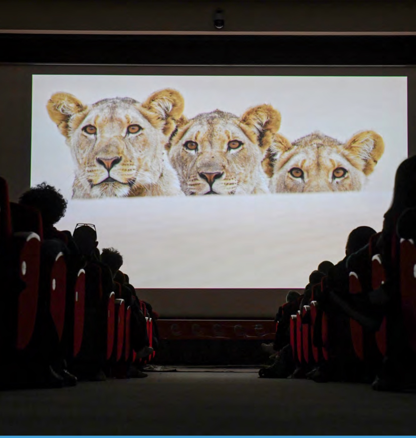 Gran Paradiso Film Festival 2026
