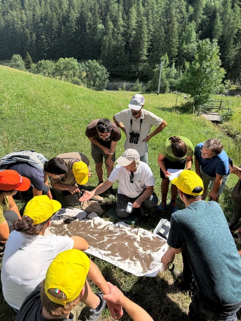 Tecnici agricoli durante un corso di certificazione biodiversità in Valle d'Aosta