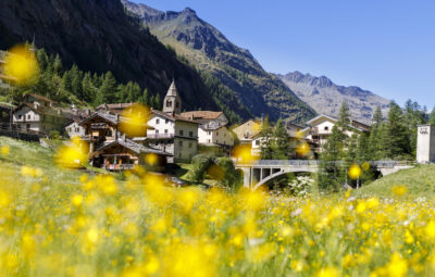 Valgrisenche In Fiore