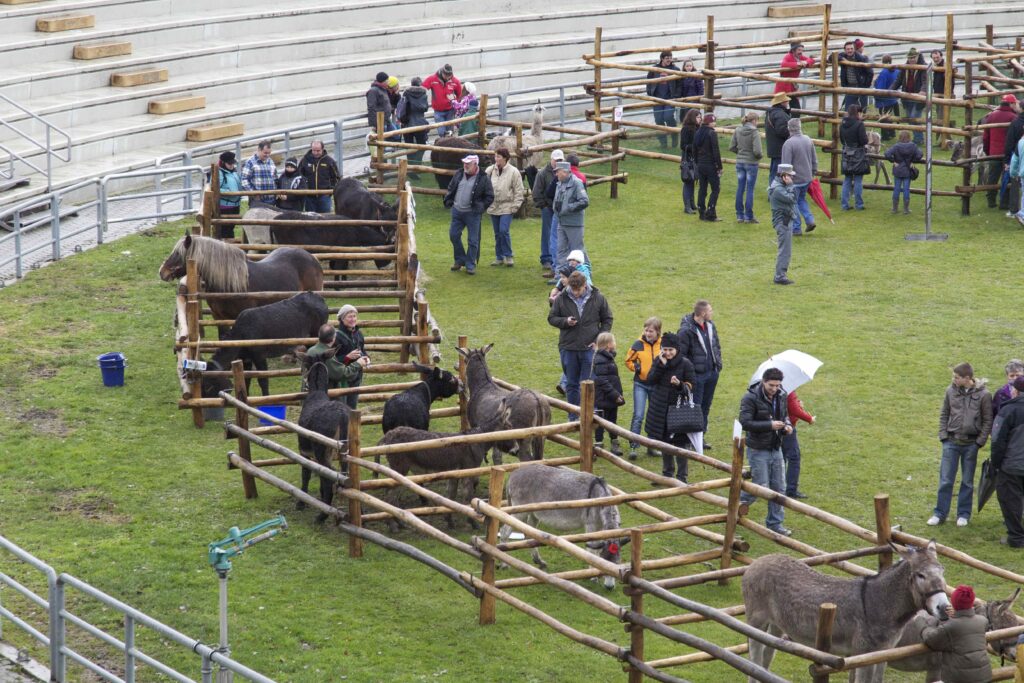 Foire des Alpes