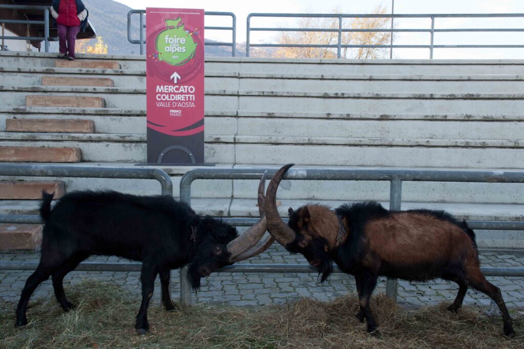 Foire des Alpes