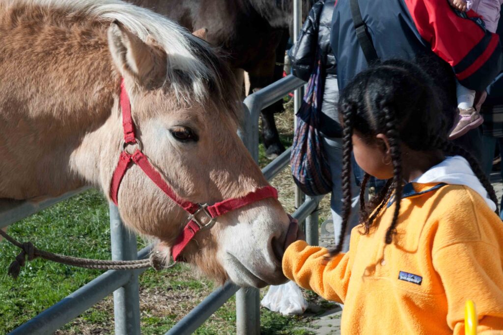 Foire des Alpes