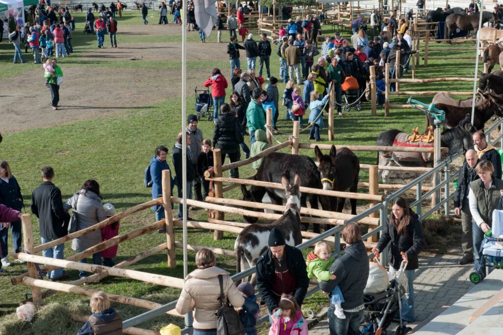 Foire des Alpes