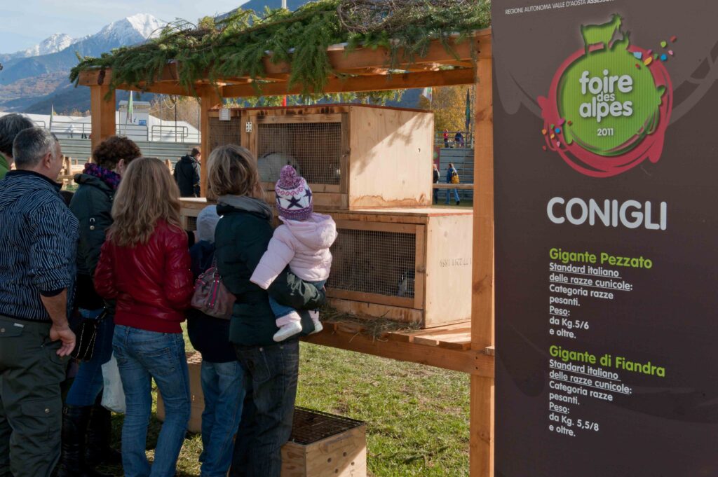 Foire des Alpes