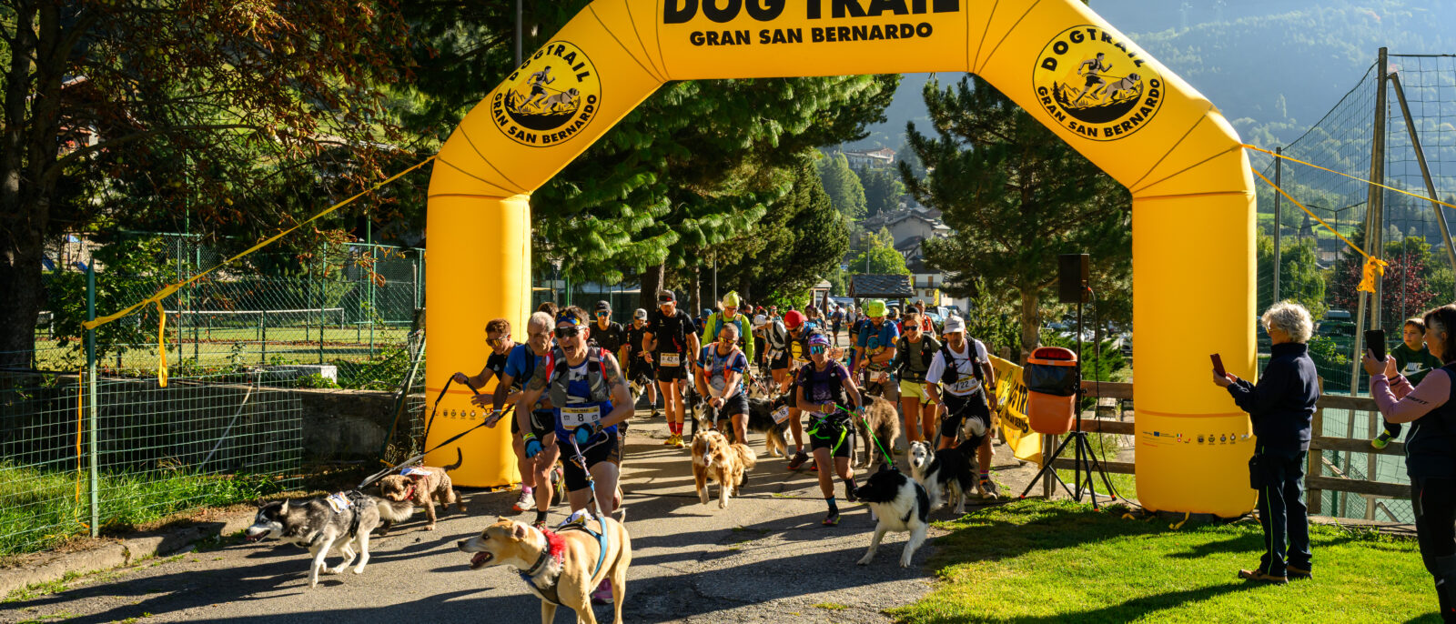 Dog Trail Gran San Bernardo
